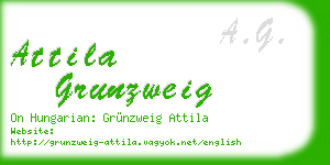 attila grunzweig business card